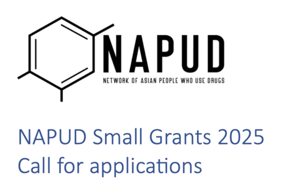 CALL FOR APPLICATIONS – NAPUD SMALL GRANTS 2025